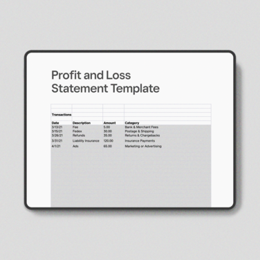 Profit and Loss Statement Template [Downloadable Tool]