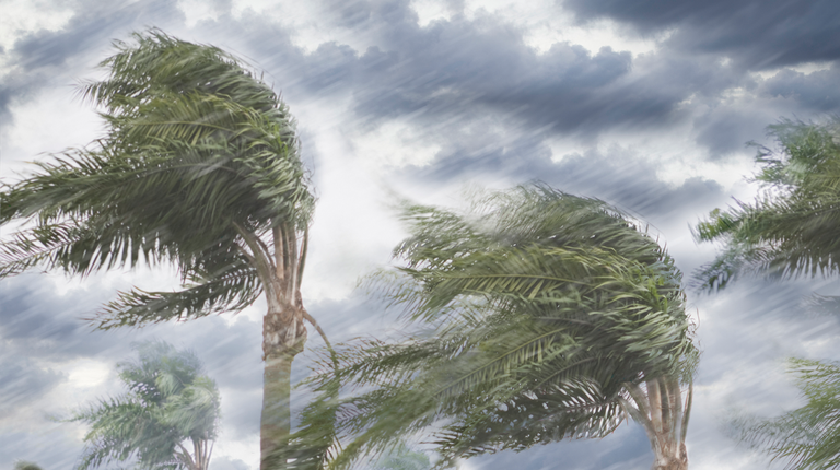 Hurricane Season 2023: Essential Tips for Preparedness and Safety
