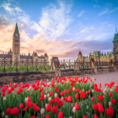 Comment obtenir un permis d’exploitation d’entreprise à Ottawa