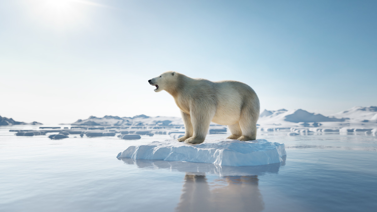 Seiko Epson Survey: Climate Change – The Time to Act is Now