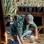 UPS Shares How to Ship Everything