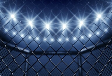 Watch Upcoming MMA Fights Live: Schedule & Matchups