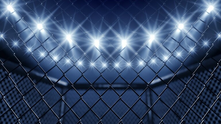 Watch Upcoming MMA Fights Live: Schedule & Matchups