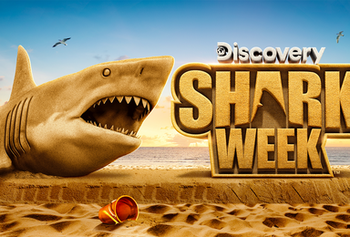 Shark Week 2026: A Guide to Discovery’s Annual Ocean Extravaganza