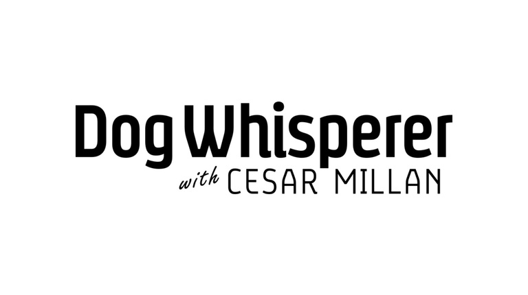 Watch ‘The Dog Whisperer with Cesar Millan’ for Free on DIRECTV