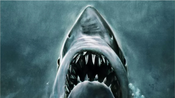 The Top 4 Jaws Movies of All-Time