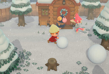 Animals Crossing New Horizons: A Glimpse of a Life Online