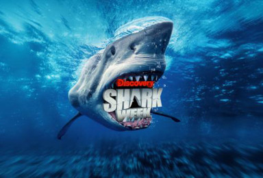 Shark Week 2025: A Guide to Discovery’s Annual TV Event