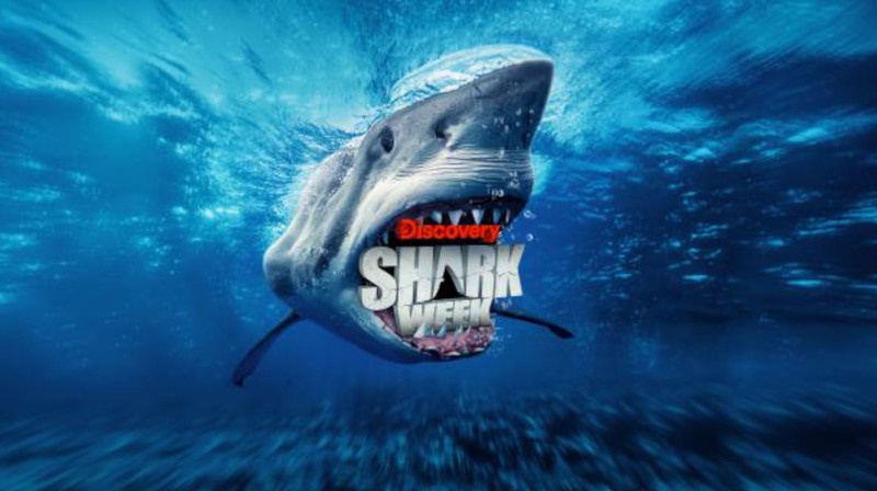 Shark Week 2025: A Guide to Discovery’s Annual TV Event