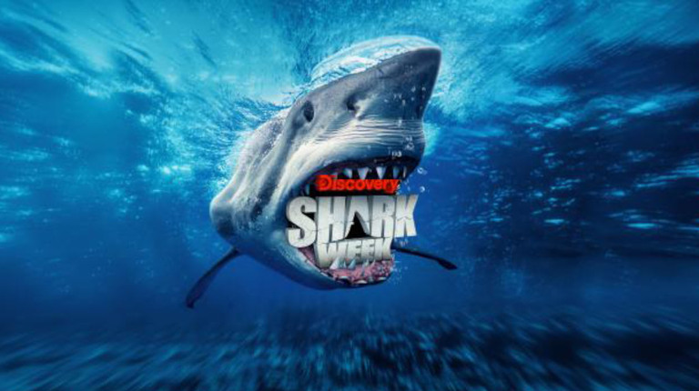 Shark Week 2025: A Guide to Discovery’s Annual TV Event