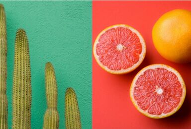 Your Guide to MLB Spring Training 2026: How to Watch & More