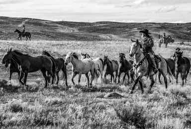 The 15 Best Western Films to Tip Your Hat to